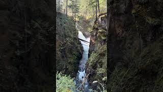 Little Qualicum Falls [upl. by Esirehs304]