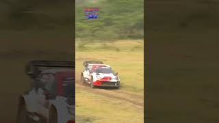 🚗💥 WRC Rally 2023 Crash Highlights rallylegend wrc wrcrallye rallying drift drifting [upl. by Boykins]