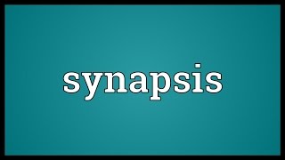 Synapsis Meaning [upl. by Anaimad]