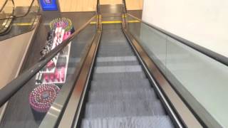 Schindler Escalators at Sears Woodfield Mall Schaumburg IL [upl. by Uhn874]