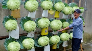 Recycle plastic waste into a oneofakind Cabbage garden so wonderful and beautiful [upl. by Chelsea]