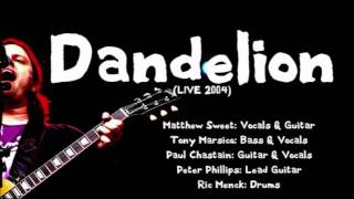 Matthew Sweet  Dandelion Live [upl. by Rizzo]