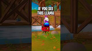 If You See This Llama BOX UP IMMEDIATELY [upl. by Annehsat]