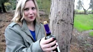 How to Open a Wine Bottle without a Corkscrew  Does it Really Work [upl. by Baynebridge468]