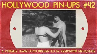 Hollywood PinUps  42  A Vintage PinUp Loop [upl. by Anitan438]