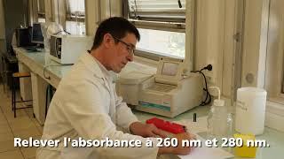 Analyse de lADN par spectrophotométrie [upl. by Islean]