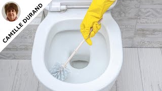 Découvrez 5 Astuces Efficaces pour Éliminer le Calcaire dans vos Toilettes [upl. by Kristi]