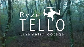 DJI Ryze Tello Cinema 27 [upl. by Ashley]