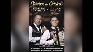 Enaldo Barrera y Julián Mojica  Tierra de Cantores Audio Oficial [upl. by Nwaf]