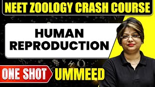 HUMAN REPRODUCTION in 1 Shot All Concepts Tricks amp PYQs  NEET Crash Course  Ummeed [upl. by Emanuel]