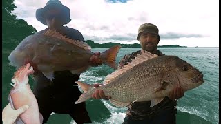 Rock Fishing ACTION from around Auckland NZ [upl. by Sikorski824]