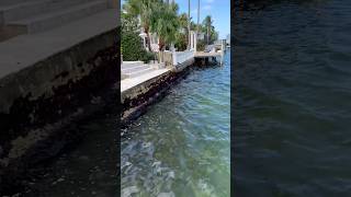 ￼ Seawall inspection in Miami Day in the life of a home inspector [upl. by Leff520]