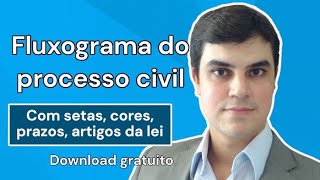 FLUXOGRAMA do PROCEDIMENTO COMUM DO CÓDIGO DE PROCESSO CIVIL  Novo CPC [upl. by Adil930]