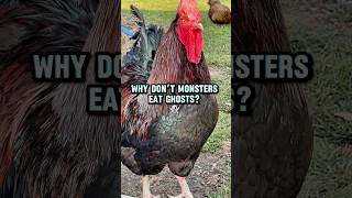 Ghosts taste like disappointment and regret chickens halloween ghosts sheet punny monster [upl. by Vada]