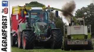 Grashäckseln 2018 ► FENDT 700 Vario und CLAAS Jaguar [upl. by Yerdua]