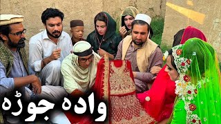 Wada Jora  Khpala Weena Drama Episode 48 By Charsadda Vines Director SadiqKhan 2024 trending [upl. by Eceerahs]