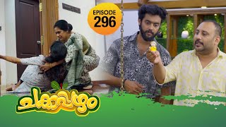 Chakkappazham 2│Comedy Series│EP 296 [upl. by Prent495]