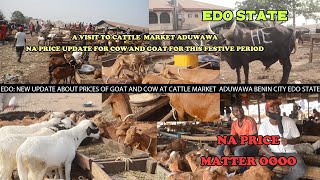 EDO RECENT UPDATE ON PRICES OF COW AND GOAT AT ADUWAWA CATTLE MARKET benincity edostate cattle [upl. by Fedirko]