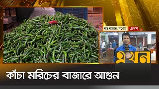 ১০০ টাকা বেড়েছে কাঁচা মরিচের দাম  Bazar News  Chili Price Hike  Jessore News  Ekhon TV [upl. by Nwahsirhc]