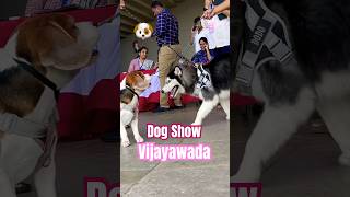 DOG SHOW IN VIJAYAWADA 😍 dogshow song [upl. by Asiulairam]