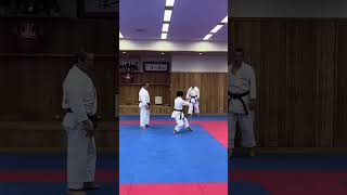 Okamotosensei demonstrates the beginning of kata Sochin [upl. by Lin]