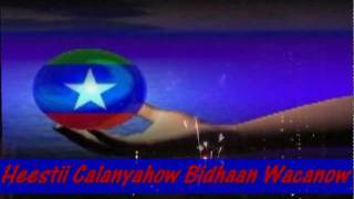 HEES WADANI CALANYAHOW BIDHAAN WACANOW PATROOL IYO HIBAAQ 2012 [upl. by Ames408]