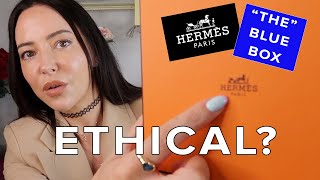 Hermes Blue Box  What Is It amp Why Have They Launched It  MARKETEER REACTS  Sophie Shohet [upl. by Purpura]