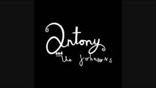 Anthony amp the Johnsons  Cripple and the starfish [upl. by Oker]