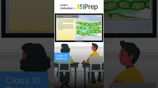 Fragmentation  How Do Organisms Reproduce  Science  Class 10  iPrep iprep learningapp [upl. by Berardo]