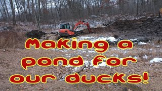 Excavating a pond for our favorite feathered creatures [upl. by Annora]