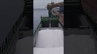 WISMAR GERMANYLoading of Road Salt youtubeshorts [upl. by Drusi]