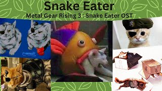 MGS3 OST Snake Eater cover [upl. by Romeu600]