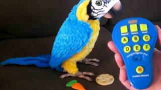 FurReal Parrot Remote Control Easy Operation [upl. by Wolsky736]