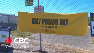 Ugly Potato Day giveaway growing in popularity [upl. by Daryn]