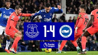 Premier League Highlights Everton 14 Brighton amp Hove Albion [upl. by Ramgad]