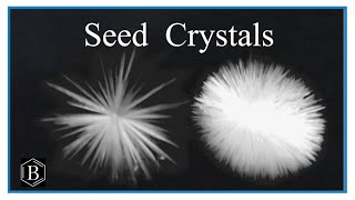 Seed Crystals in real time [upl. by Etteve]