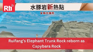 Ruifang’s Elephant Trunk Rock reborn as Capybara Rock  Taiwan News  RTI [upl. by Tterag]