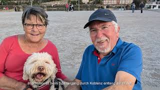 Flusskreuzfahrt mit Hund auf Rhein und Mosel [upl. by Irac]