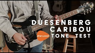 Duesenberg Caribou Tone Test  Sherwood Music [upl. by Tressia]