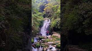 Rock garden waterfall Darjeeling ytshorts darjeeling rockgarden [upl. by Wardieu428]