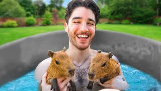 I spent a day with CAPYBARAS [upl. by Eigroeg]