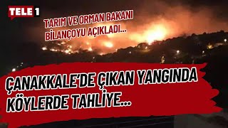 Çanakkalede çıkan yangında can ve mal kaybı olup olmadığına dair ilk tespit SONDAKİKA [upl. by Argela704]