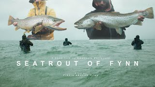 SEATROUT OF FYNN [upl. by Anehsat736]