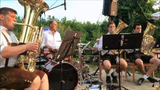 Das RhönQuartett  SüdböhmischePolka  Reichelsburgfest 2015 [upl. by Ynatsyd]