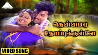 தென்னமர தோப்புக்குள்ளே HD VIDEO SONG  தெற்கு தெரு மச்சான்  சத்தியராஜ்  பானுப்ரியா  தேவா [upl. by Paulette]