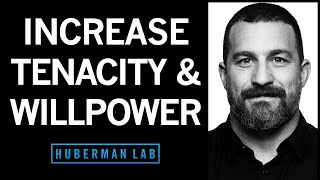 How to Increase Your Willpower amp Tenacity  Huberman Lab Podcast [upl. by Siugram656]