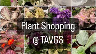 Plant Shopping  TAVGS [upl. by Gaivn764]