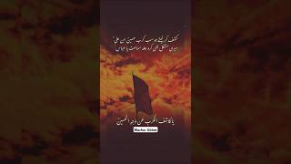 Ya Kashif al Kabri karbala shortvideo Muslims [upl. by Deron]