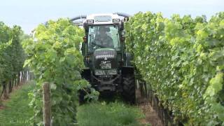 Fendt Vario 200 VFP im Einsatz  Fendt [upl. by Yrahca]