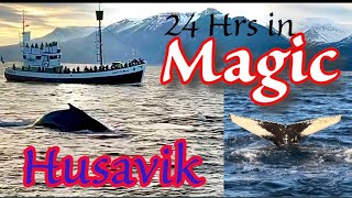 How to spend the BEST 24Hrs in HÚSAVÍK Northern ICELAND Road trip WHALE WATCHING  Northern Lights [upl. by Ecirtap]